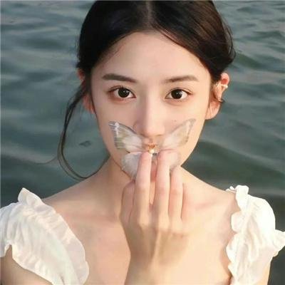 野探哈莉第四季